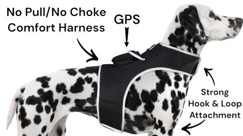 Get Accurate Pet Locations w/ Pet Tracker Realtime Dog Collar GPS Tracker Size:XL