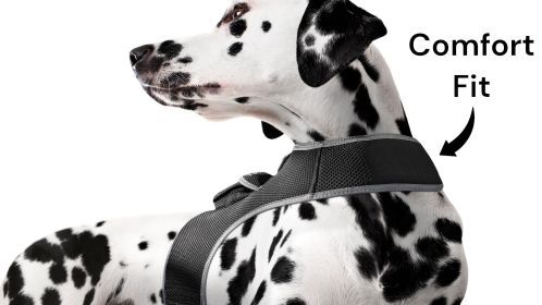 Rechargeable Dog Cat Realtime Mini Pet Locator GPS Collar Tracker NEW Size:L